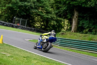 cadwell-no-limits-trackday;cadwell-park;cadwell-park-photographs;cadwell-trackday-photographs;enduro-digital-images;event-digital-images;eventdigitalimages;no-limits-trackdays;peter-wileman-photography;racing-digital-images;trackday-digital-images;trackday-photos
